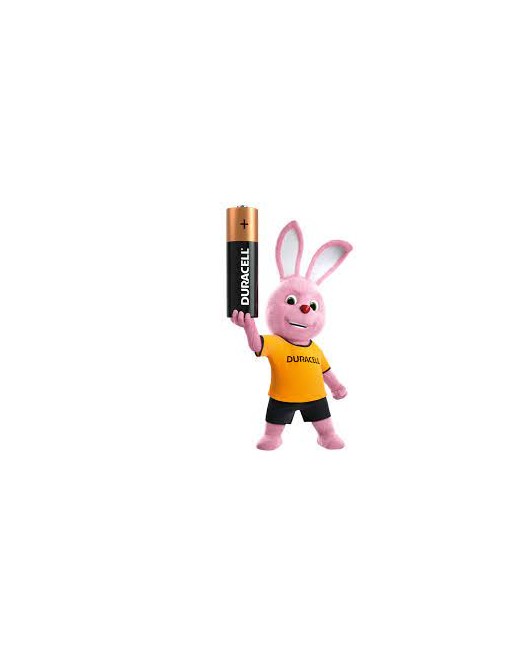 Pilas Duracell LR14/ MN1400